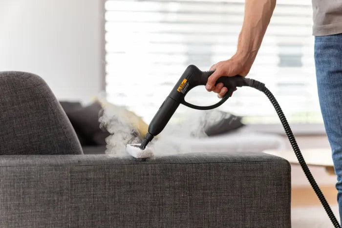 Power Steamer 915 E Wagner