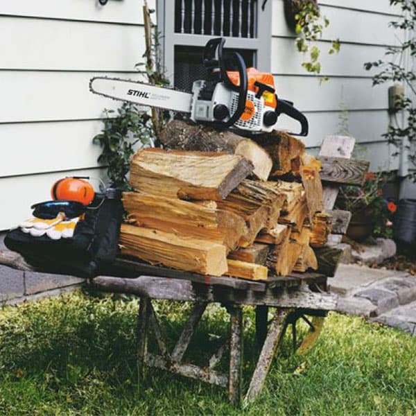 STIHL - Tronçonneuse à essence Ms 170 30.1 cc