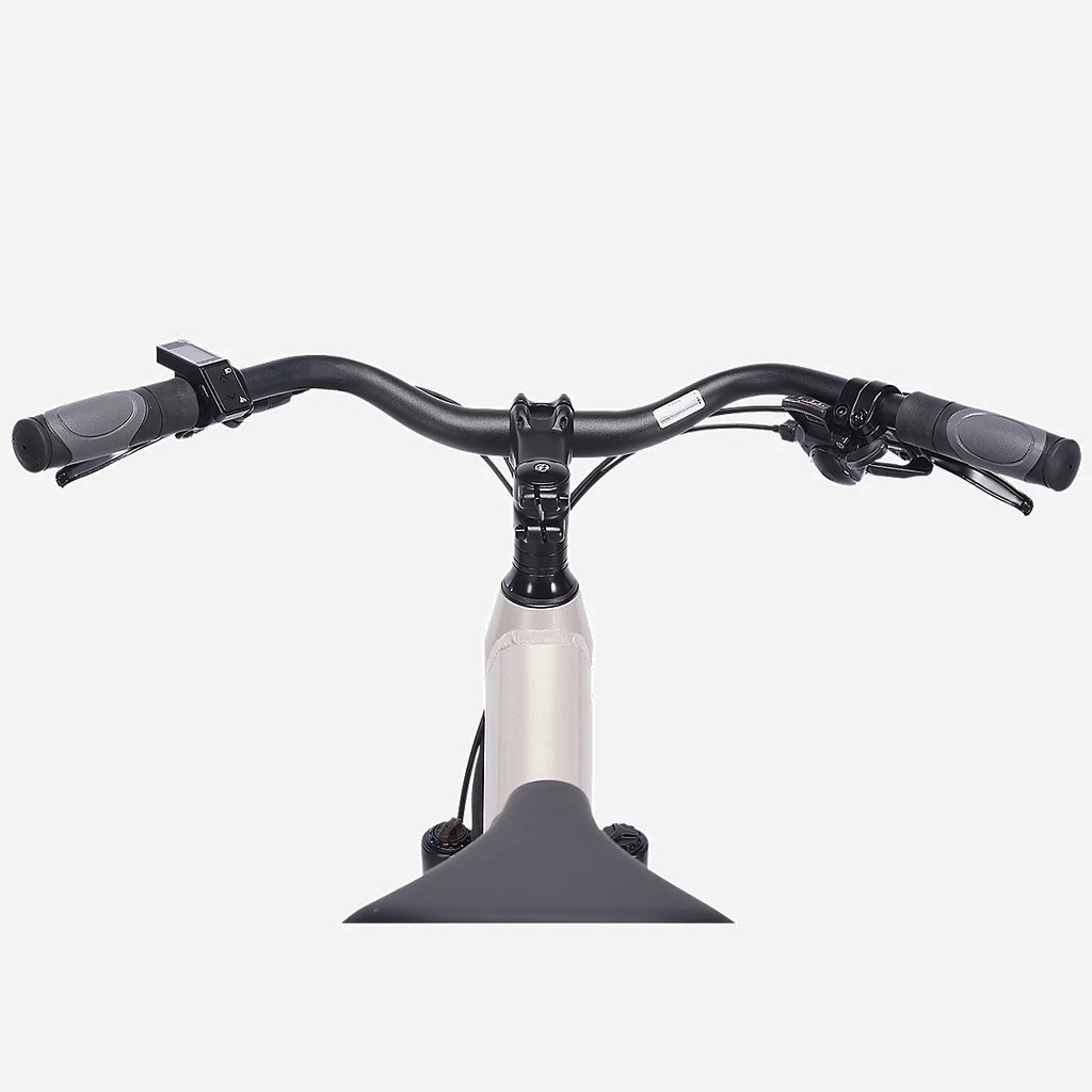 VTC électrique Crossover V